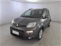 FIAT Panda 1.0 firefly hybrid s&s 70cv