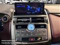 LEXUS NX Hybrid 4WD Premium