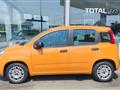 FIAT PANDA 1.2 Easy IDEALE PER NEO PATENTATI, IVA ESPOSTA