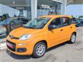 FIAT PANDA 1.2 Easy IDEALE PER NEO PATENTATI, IVA ESPOSTA