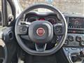 FIAT PANDA CROSS MY23 1.0 70CV HYBRID CROSS