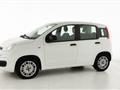 FIAT PANDA 1.2 EasyPower Easy - OK NEOPATENTATO