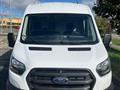 FORD TRANSIT 290 2.0 tdci MHEV 130cv trend L2H2