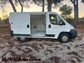 FIAT DUCATO 33  POSSIBILITA' 3 POSTO