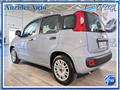 FIAT PANDA 1.0 FireFly 70 Cv Hybrid Easy