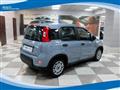 FIAT PANDA Hybrid 1.0 FireFly 70cv EU6