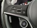 ALFA ROMEO STELVIO 2.2 Turbodiesel 210 CV AT8 Q4 Super -per operatori