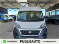 FIAT DUCATO 33 2.0 MJT PLM-TM Furgone