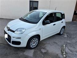 FIAT Panda 1.0 FireFly S&S Hybrid Easy