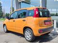 FIAT PANDA 1.2 Easy IDEALE PER NEO PATENTATI, IVA ESPOSTA