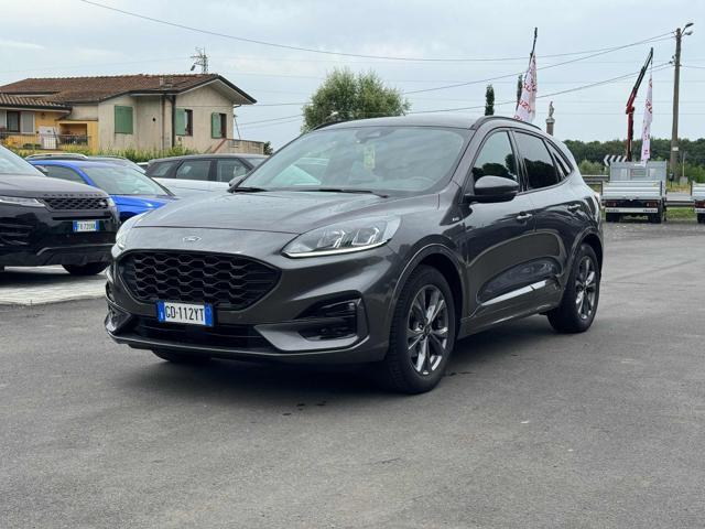 FORD KUGA 1.5 EcoBlue 120 CV 2WD ST-Line