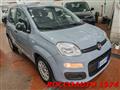 FIAT PANDA 1.2 Easy PREZZO REALE