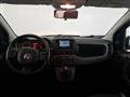 FIAT Panda 1.0 firefly hybrid s&s 70cv