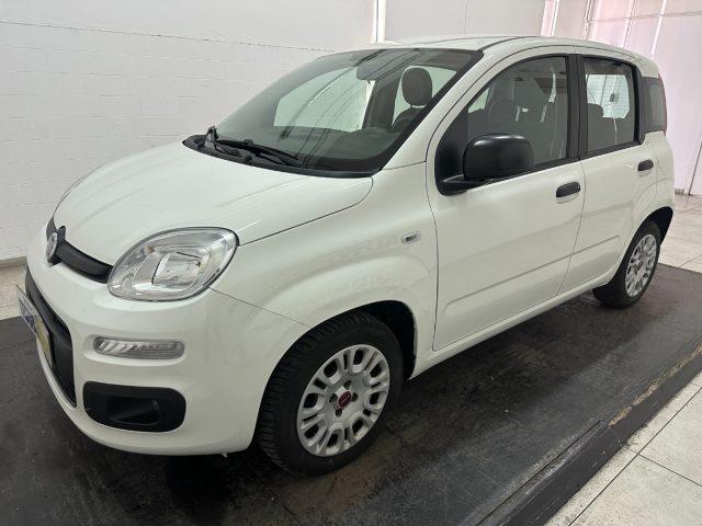 FIAT PANDA 1.2 Easy s&s 69cv my19