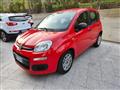 FIAT PANDA 1.3 MJT 95 CV S&S Easy