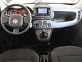 FIAT Panda 1.0 FireFly S&S Hybrid Launch Ed.