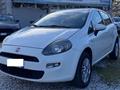 FIAT PUNTO 1.4 8V 5 porte Natural Power Pop