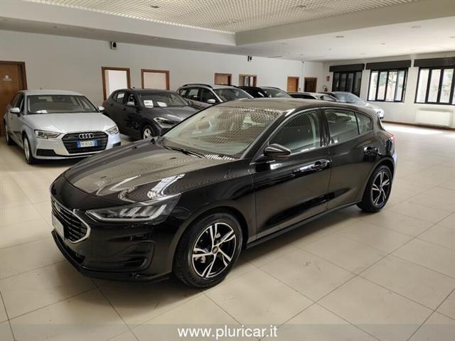 FORD FOCUS 1.5 EcoBlue 120 CV automatico 5p. Business Co-Pilot