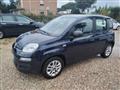 FIAT PANDA 1.2 EasyPower Easy