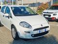 FIAT PUNTO 1.2 8V 5 porte Street