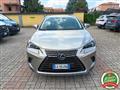 LEXUS NX Hybrid 4WD Luxury