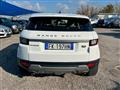 LAND ROVER RANGE ROVER EVOQUE 2.0 TD4 150 CV 5p. Pure auto+CONTO VENDITA