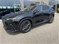 LEXUS NX Plug-in 4WD Luxury