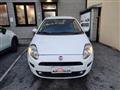 FIAT PUNTO 1.2 8V 5 porte Street NEOPATENTATI