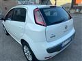 FIAT PUNTO 1.4 5 porte Active Natural Power