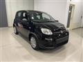 FIAT Panda 1.0 firefly hybrid s&s 70cv