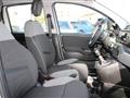 FIAT Panda 1.0 firefly hybrid City Life s&s 70cv