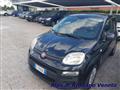 FIAT PANDA 1.2 Dynamic ok neop.