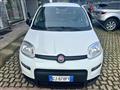 FIAT PANDA 1.0 FireFly S&S Hybrid Sport