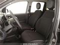 FIAT PANDA 1.0 firefly hybrid s&s 70cv 5p.ti