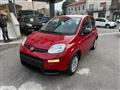 FIAT PANDA 1.0 FireFly S&S Hybrid/GPL con Pack Comfort