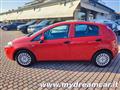 FIAT PUNTO 1.2 8V 5 porte Young NEOPATENTATI