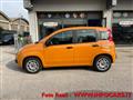 FIAT PANDA 1.0 FireFly S&S Hybrid NEOPATENTATI