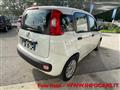 FIAT PANDA 1.2 Easy NEOPATENTATI