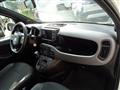 FIAT PANDA 1000 HYBRID SPORT 70CV CARPLAY 5 POSTI "16