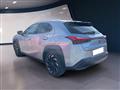 LEXUS UX 2019 250h 2.0 Premium 2wd cvt