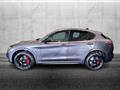 ALFA ROMEO STELVIO 2.9 Bi-Turbo V6 520 CV AT8 Q4 Quadrifoglio