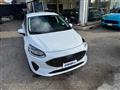 FORD FIESTA 1.0 Ecoboost Hybrid 125 CV 5 porte Titanium