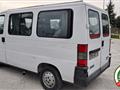 FIAT DUCATO 2500 Tdi Panorama 9 Posti