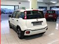 FIAT Panda 1.0 FireFly S&S Hybrid Pandina MY24 KM ZERO!!! IVATA NEOPATE