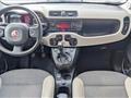 FIAT PANDA 0.9 TwinAir Turbo Natural Power Trekking