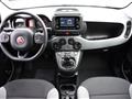 FIAT PANDA 1.0 FireFly Hybrid City Life *CLIMA AUT*5 POSTI*