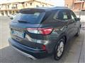 FORD KUGA 1.5 EcoBlue 120 CV 2WD Titanium Business