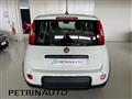 FIAT PANDA 1.0 FireFly S&S Hybrid+PACK CITY Km.0