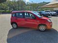 FIAT PANDA 1.2 EasyPower Easy