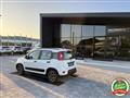 FIAT PANDA 1.0 Hybrid City Life ANCHE PER NEOPATENTATI